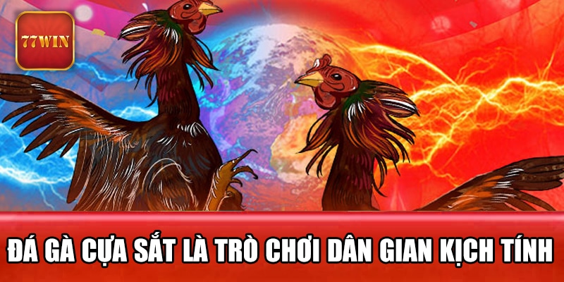 Đá gà cựa sắt là trò chơi dân gian kịch tính